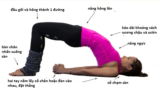 bài tập yoga tư thế cây cầu