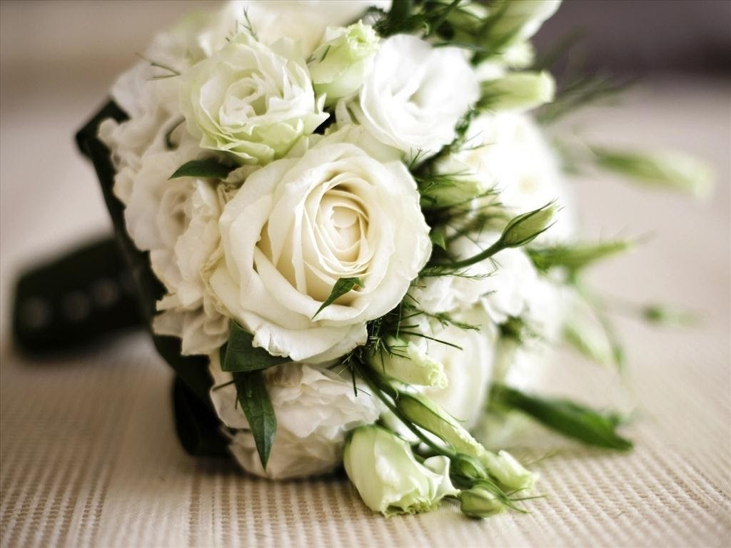 Hoa hồng trắng - loài hoa không thể thiếu trong các đám cưới