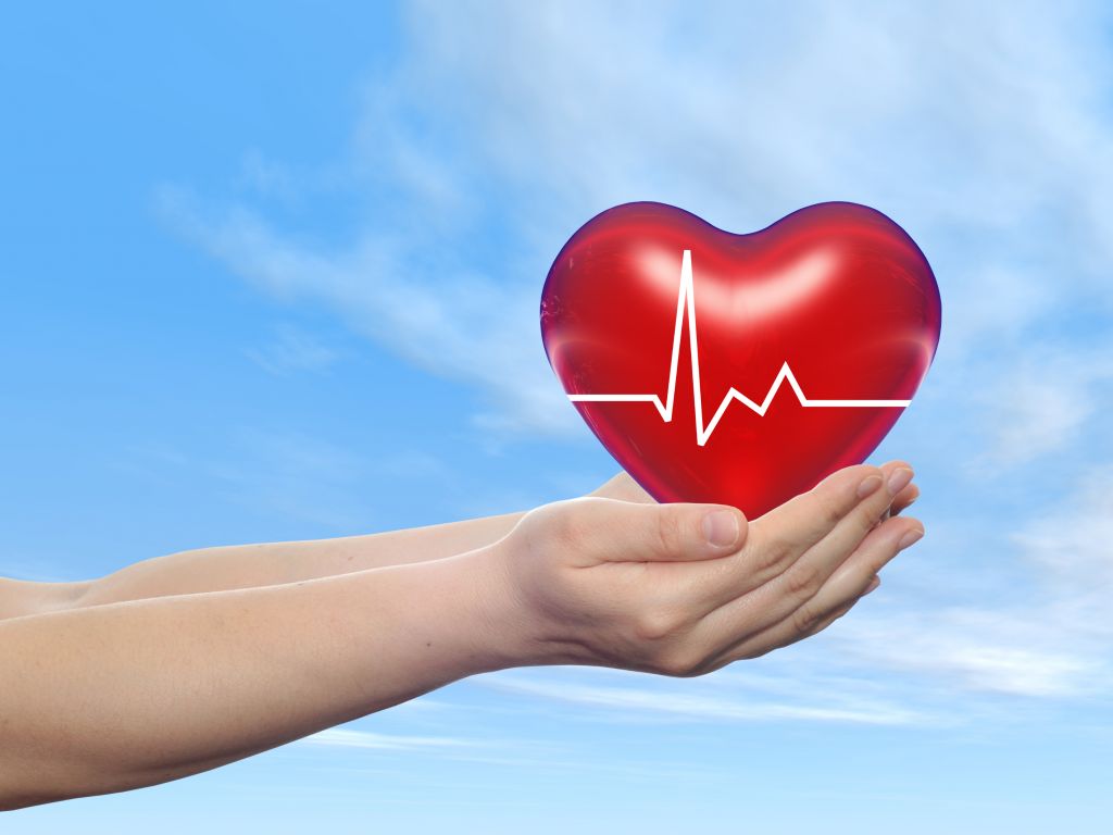 xà sàng tử có tác dụng điều hòa nhịp tim