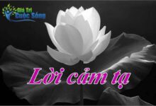 Lời cảm tạ hay nhất - Những mẫu lời cảm tạ xúc động cho tang lễ